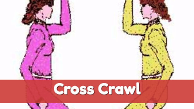 Self Cross Crawl